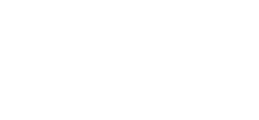 logo WMA Trans Logistic white