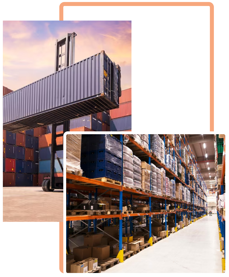 profile WMA Trans Logistic 1